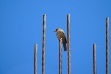 Foto - Nossas belezas naturais