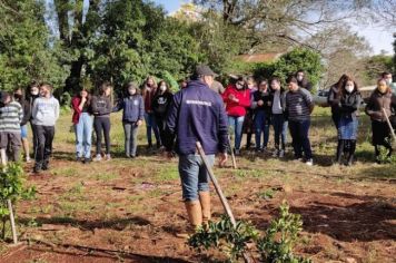 Demonstração de poda e manejo de frutíferas é realizada em pomar escolar de Garruchos