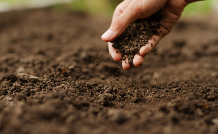 Secretaria de Agricultura informa sobre serviços aos pequenos produtores